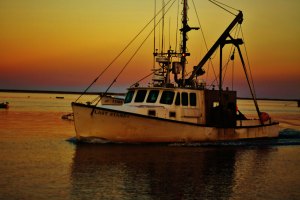 fishing boat on the cape